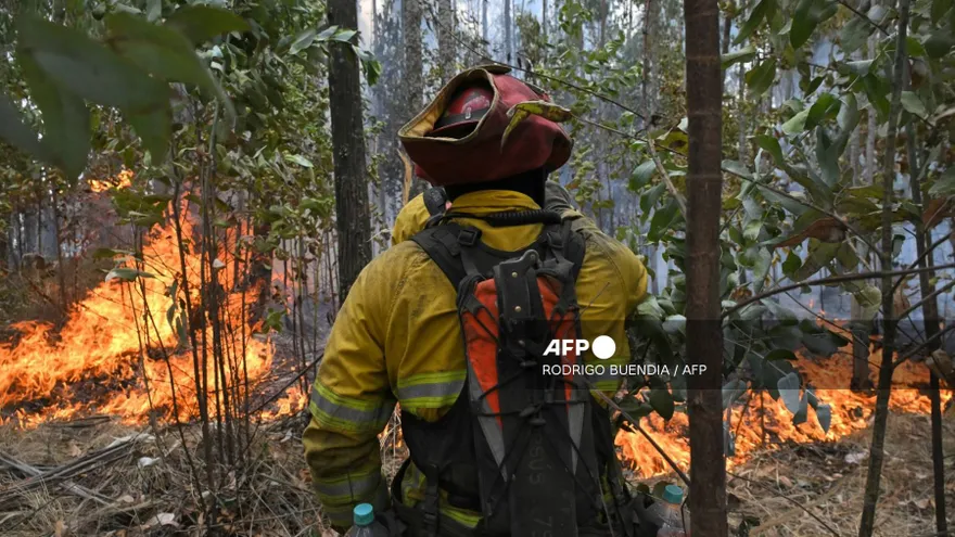 Habitantes de Quito se despertaron esta madrugada con el humo de las llamas de un incendio forestal que el domingo llega a su cuarto día tras reactivarse por fuertes vientos.