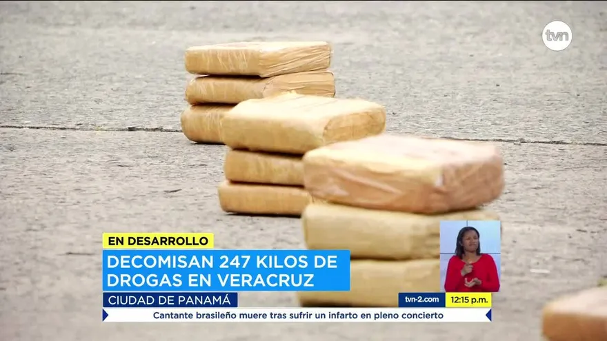 Decomisan 247 paquetes de droga en Veracruz