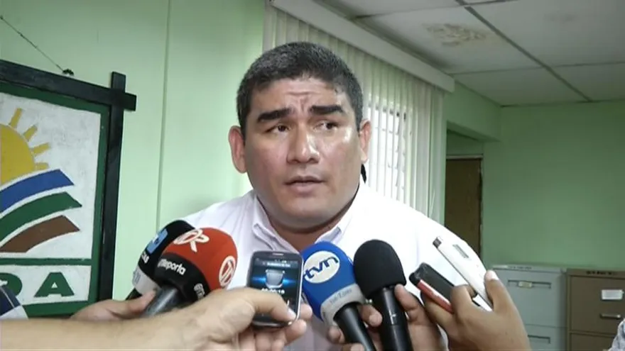 7 millones de plantones para que Chiriquí vuelva a la edad dorada del café