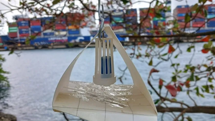 Más de 12 mil animales atendidos y 4 mil trampas activas en Zona de Protección Fitozoosanitaria