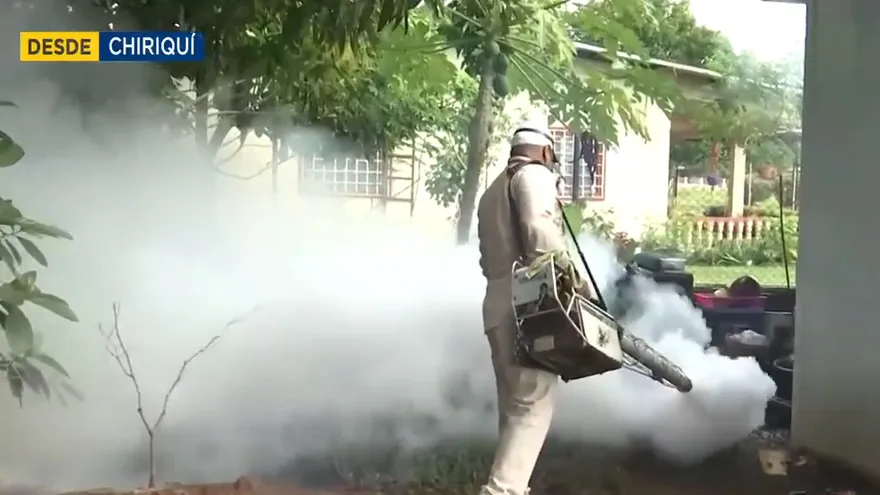 Realizarán labores de fumigación previo a fiestas patrias en Chiriquí