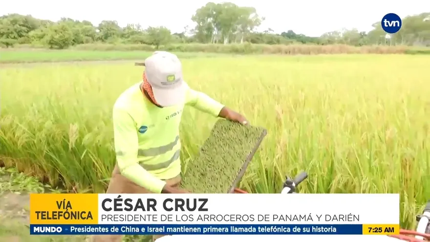 Costo de insumos preocupa a los arroceros