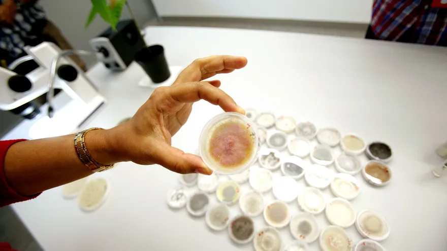 Imagen de pruebas de laboratorio.