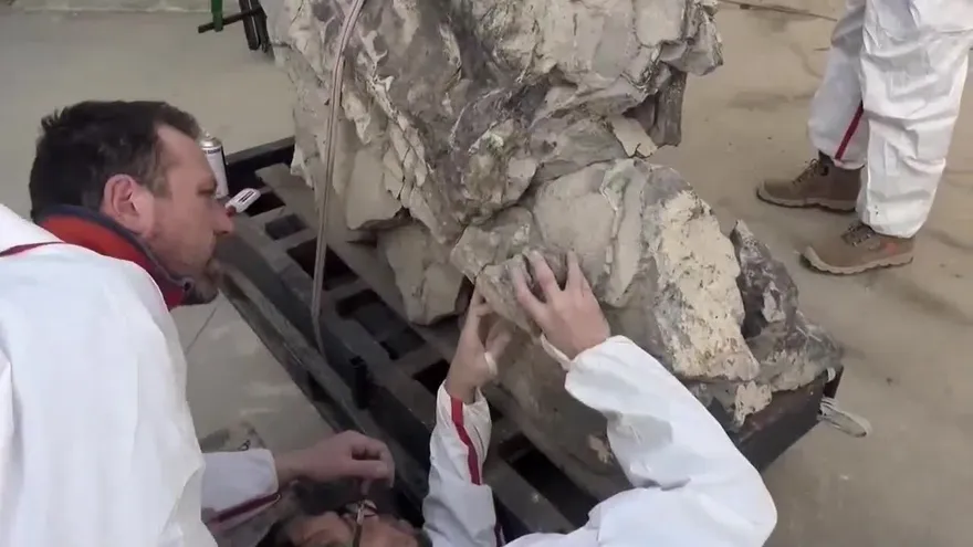 Italia recupera a Bruno, su dinosaurio más grande