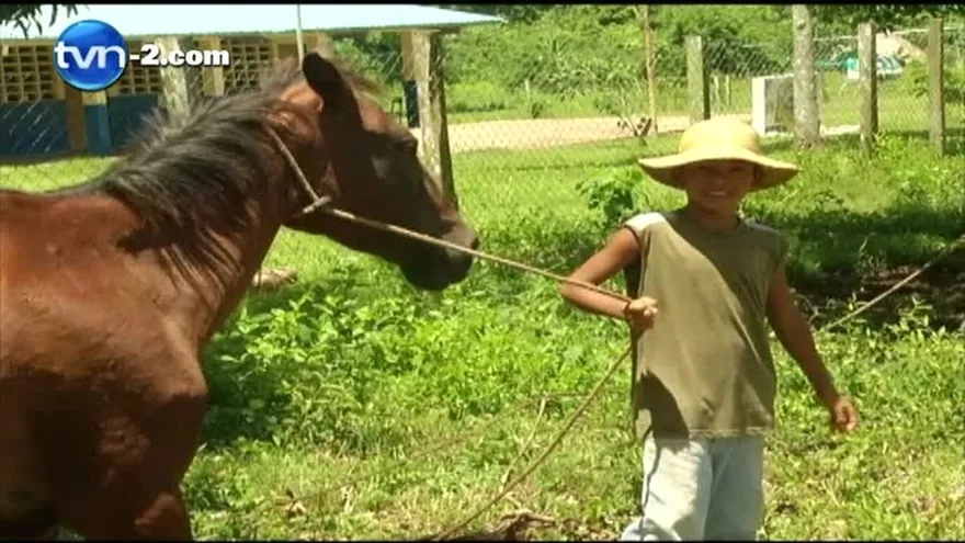 Preocupación por encefalitis equina en Darién