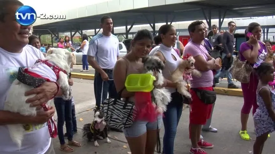 Realizan actividades en conmemoración al día de San Francisco de Asís.