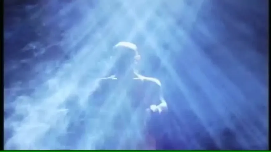 Boxeadora o Bailarina?