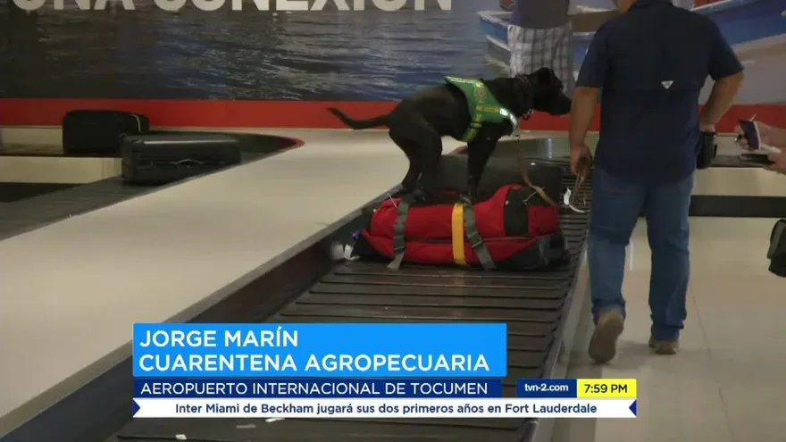 Crean unidad canina agropecuaria