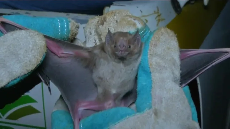 Noticiero AM 17 de enero del 2016 - Bloque 1