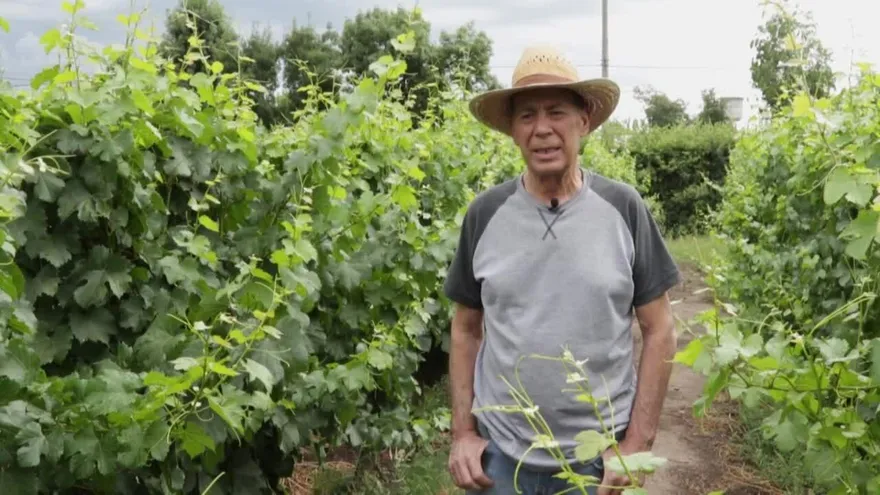 Productores del Valle de Uco, tierra del vino argentino, defienden el agua contra la minería