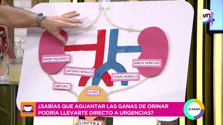 ¿Sabías que aguantar las ganas de orinar puede llevarte directo a urgencias?