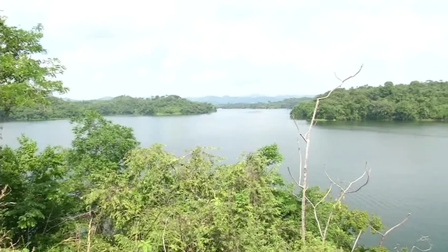 Se prepara licitación para concesión de aguas del Lago Bayano