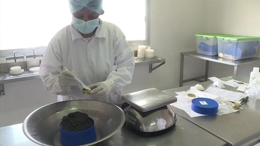 El caviar uruguayo se abre paso en el mundo