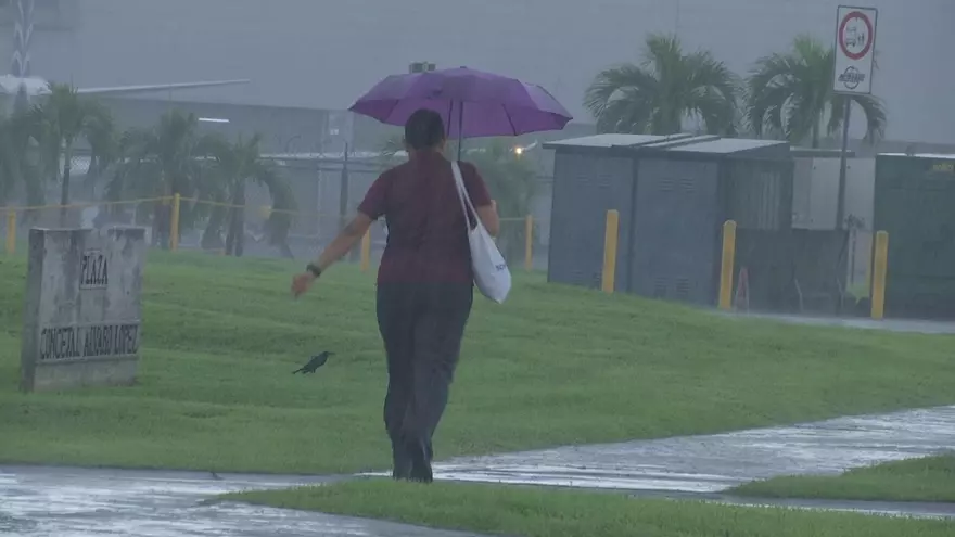 Una mujer camina con su paraguas bajo la lluvia