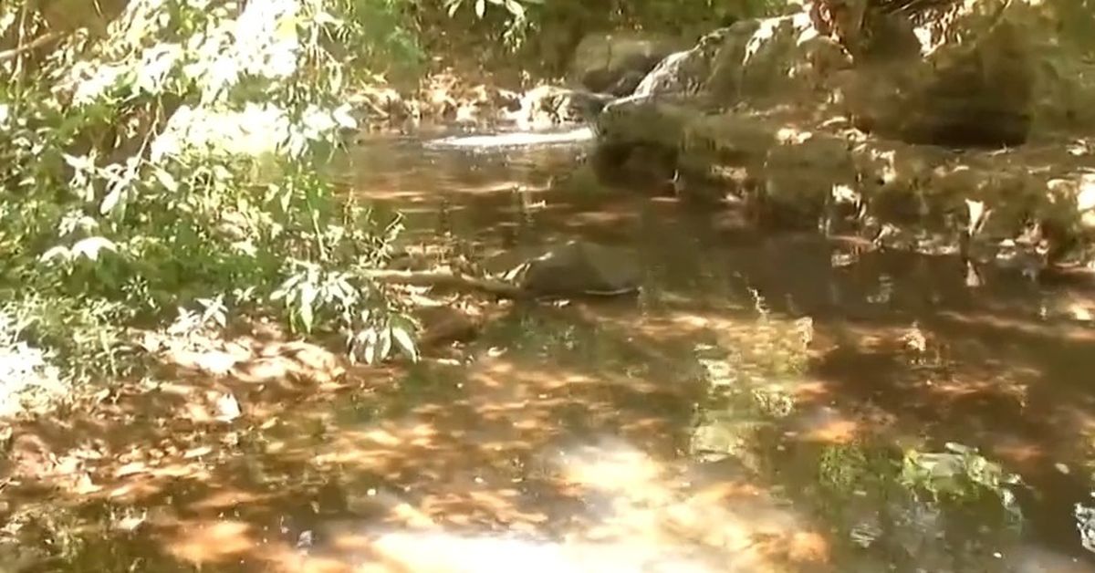 Mapa Hidrológico de Panamá: Especialistas recomiendan actualizar mapa ...