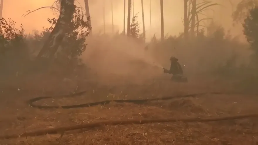 Regiones del centro de Rusia sufren incendios forestales "extremos"