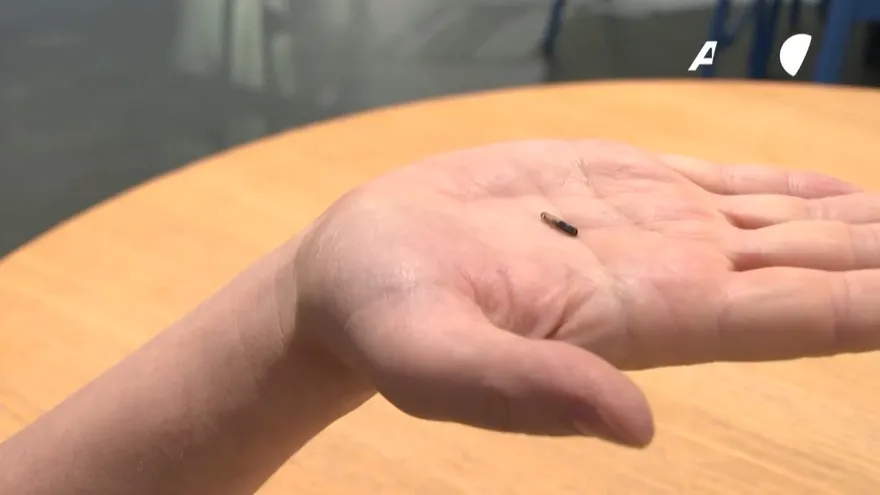 El pasaporte sanitario bajo la piel, la propuesta de una empresa sueca