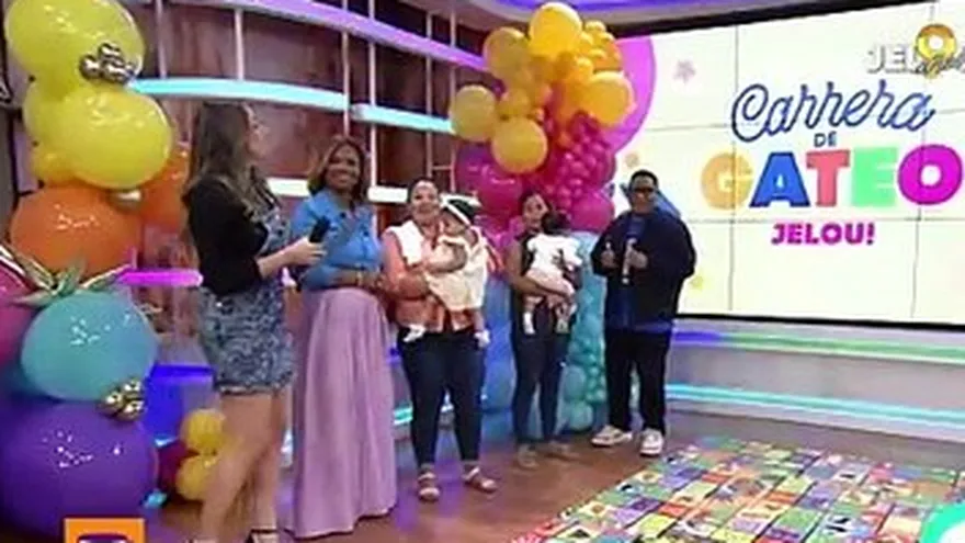 ¡Concurso de gateo de Jelou! Qué ternura