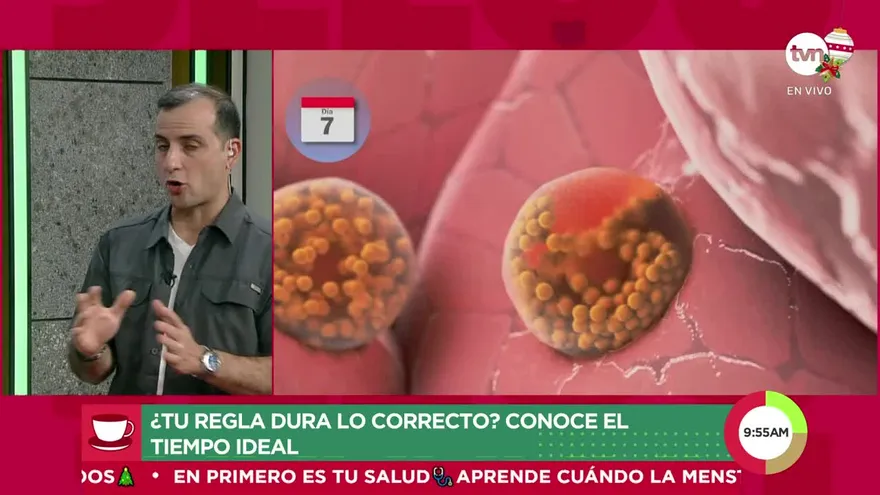 ¿Tu regla dura el tiempo correcto? Conoce el tiempo ideal