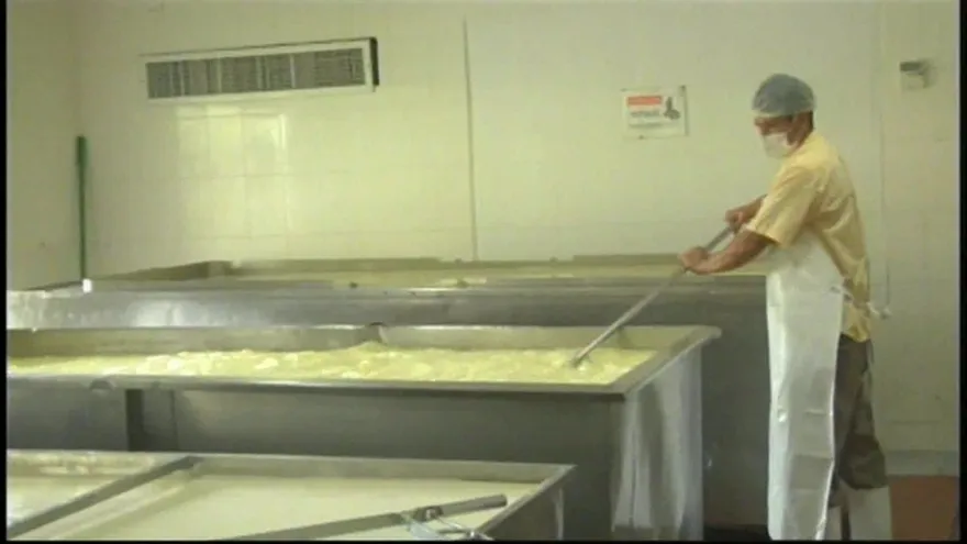 Ganaderos consideran injusto que se baje el precio de la leche