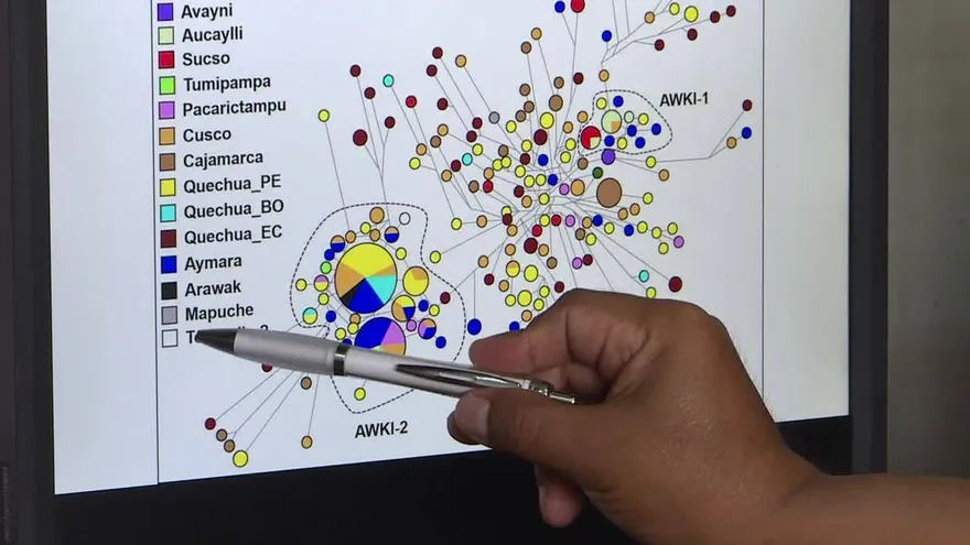 Científicos buscan el origen de los incas con huellas genéticas