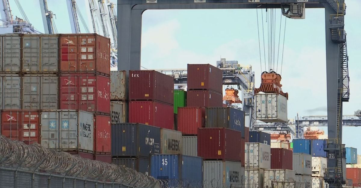 Apede y Cámara Marítima advierten impacto del proyecto 491 en competitividad logística