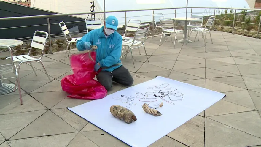 Hallan cientos de partes de animales que eran usadas para brujería en Colombia