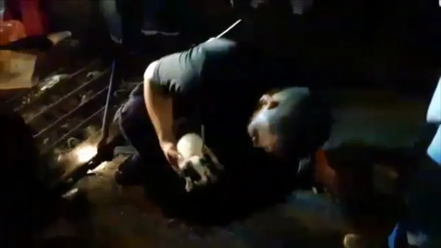 Rescatan a un perrito que cayó en alcantarilla