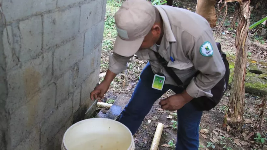 Minsa alerta por alza en casos de dengue, influenza y malaria