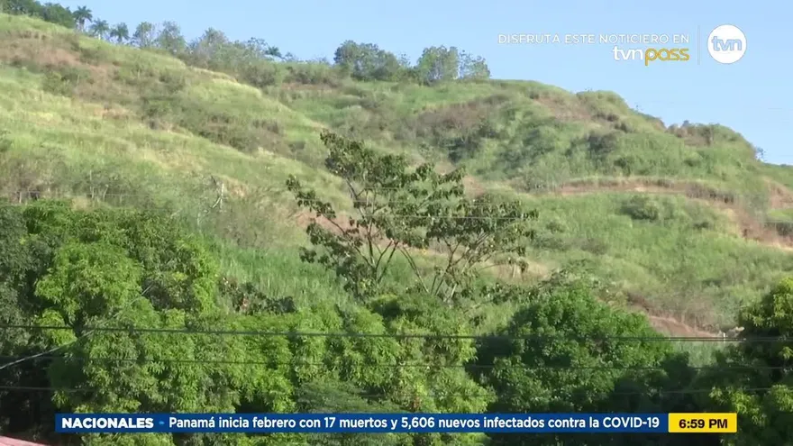 Incendio de herbazales, es el mal de todos los veranos