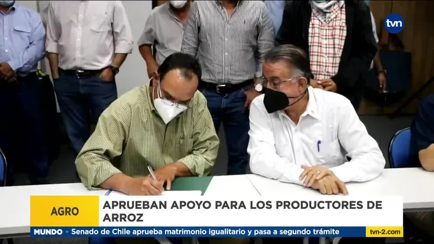 Gobierno aumenta el subsidio del arroz