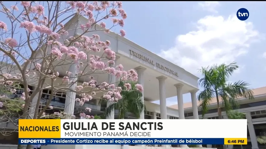 Tribunal Electoral no está facilitando recolección de firmas, dicen movimientos Constituyentes