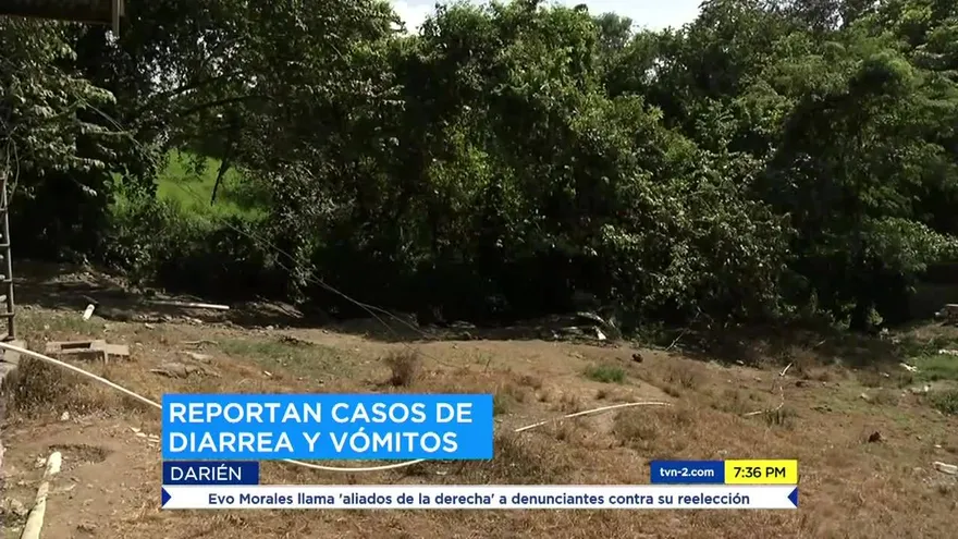 Denuncian irregularidades en matadero de Darién