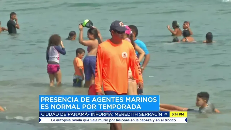 Bañistas deben tomar precauciones antes presencia de agentes marinos