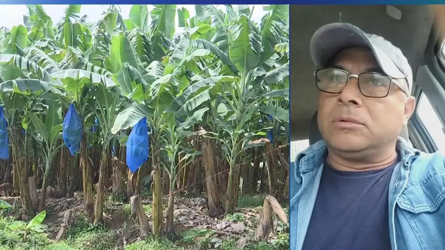 Adonai Quezada, productor de Bocas del Toro