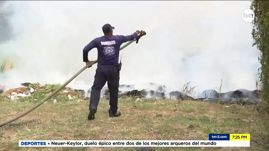 En lo que va del 2021 se han cometido 56 delitos ambientales