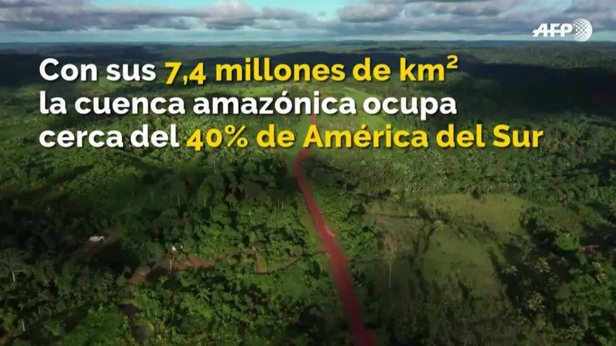 Cinco cosas a saber sobre la Amazonia