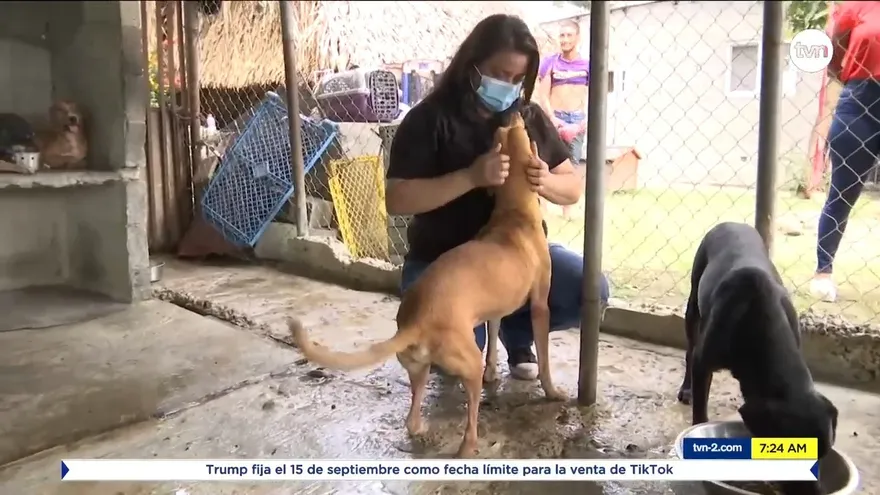 Bella Rivas, Patitas de Amor