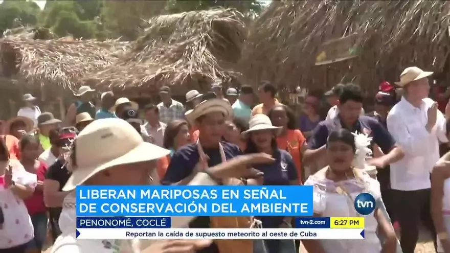 Cientos acuden a disfrutar de la Feria de la Naranja