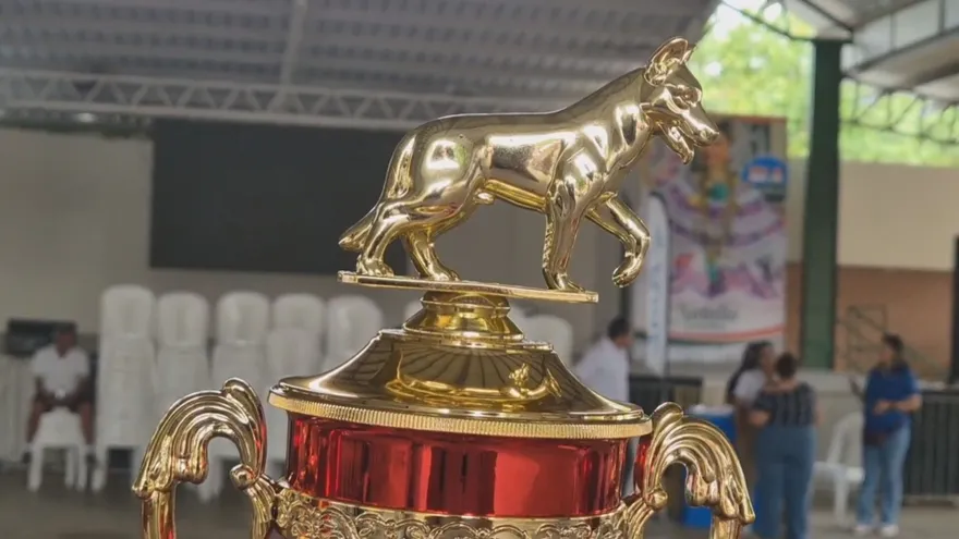 Trofeo del concurso canino Dr. Yelo Ríos de la Feria de Azuero.