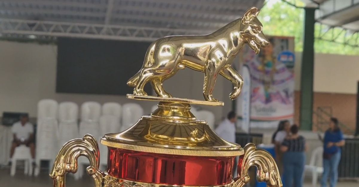 Feria de Azuero reunió a decenas de mascotas en el concurso canino en su jornada de cierre