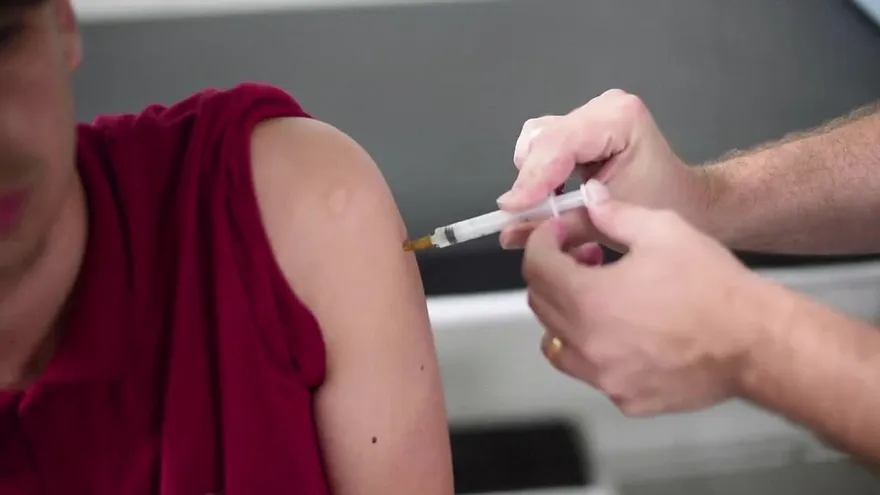 Declaran emergencia en sur de Brasil por fiebre amarilla