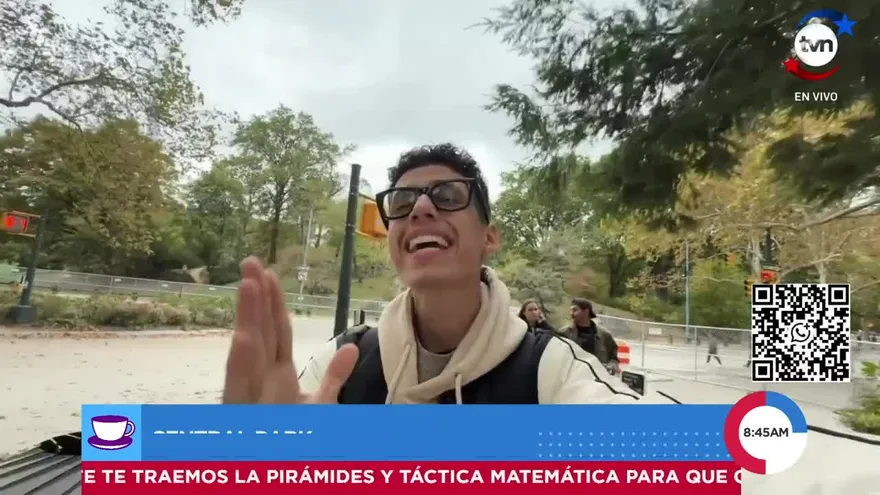 Central Park: El respiro de Nueva York