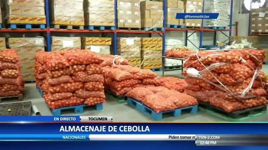 Abastecerán el mercado de cebollas nacionales