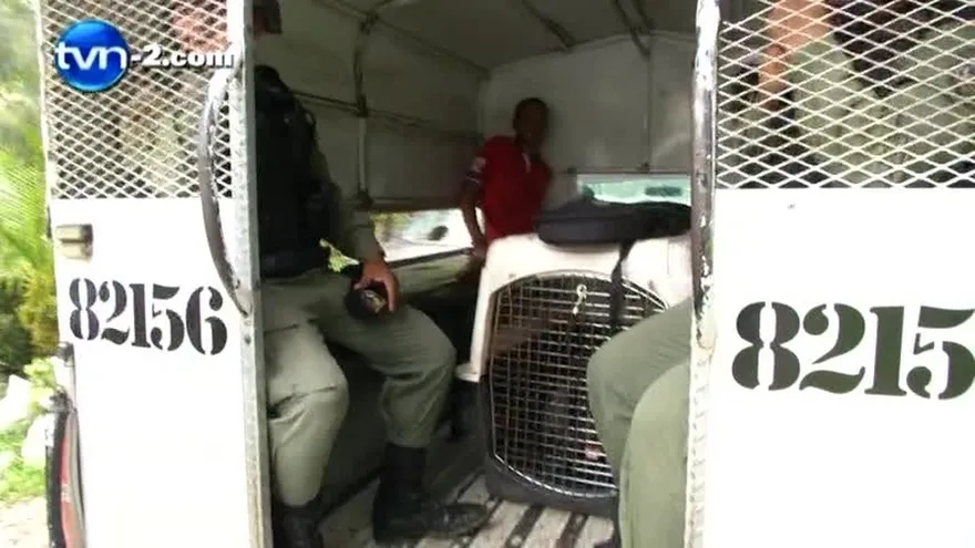 Encuentran autos robados, drogas y municiones