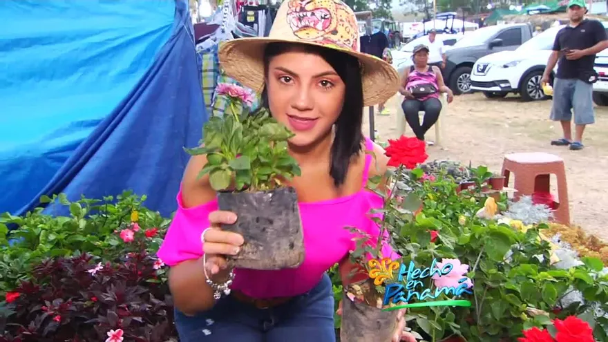 Hecho en Panamá 20 de abril de 2019