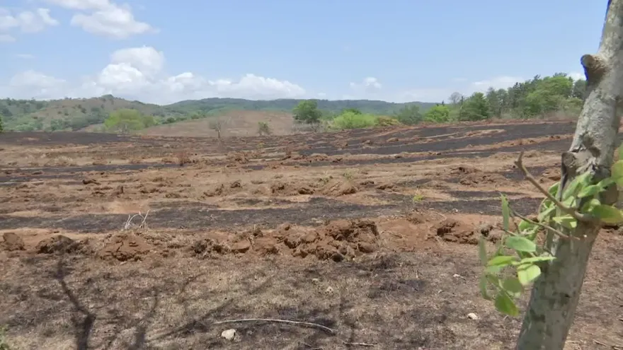 Un hombre murió calcinado en el sector de rio Indio en Caimitillo