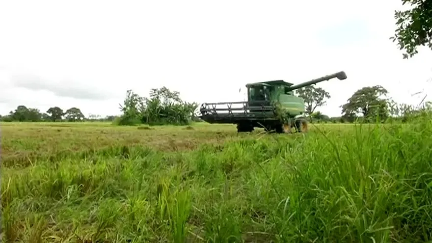 El riesgo del sector agropecuario