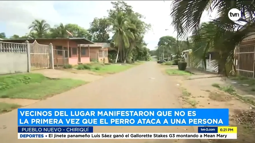 Una mujer resulta con heridas tras ataque de un perro