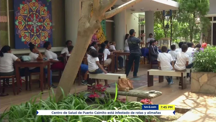 80% de los niños en el mundo sobreviven al cáncer